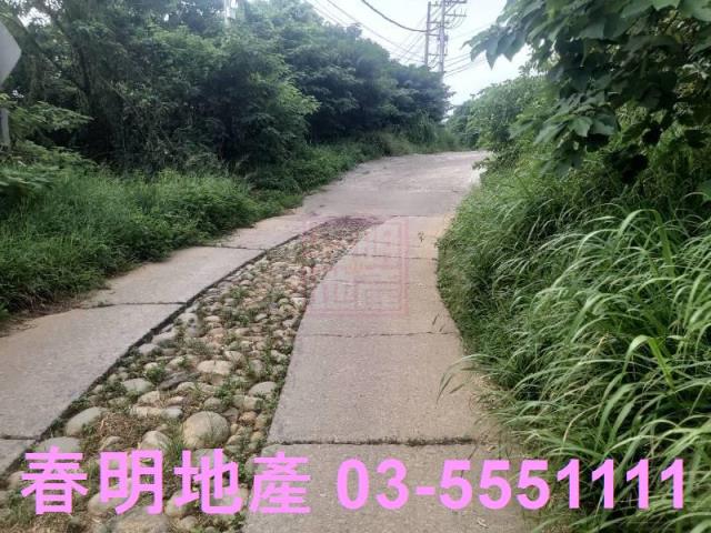 新豐農地-3