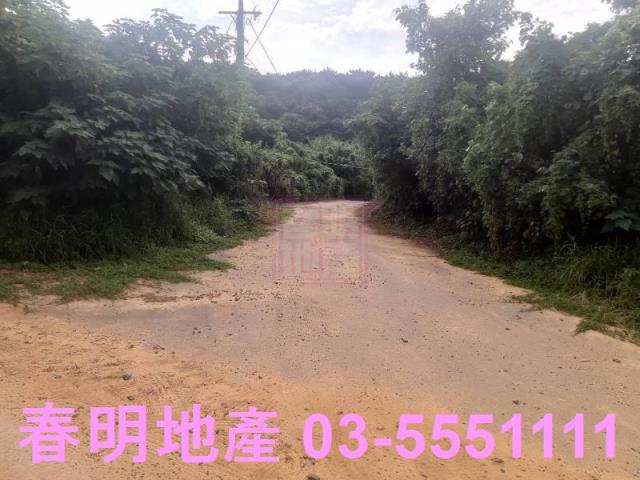 新豐農地-4