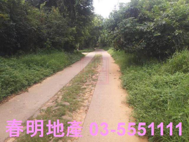 新豐農地-6