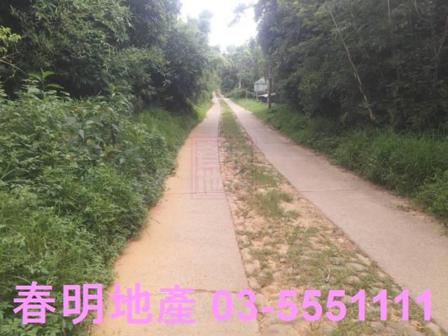 新豐農地-7