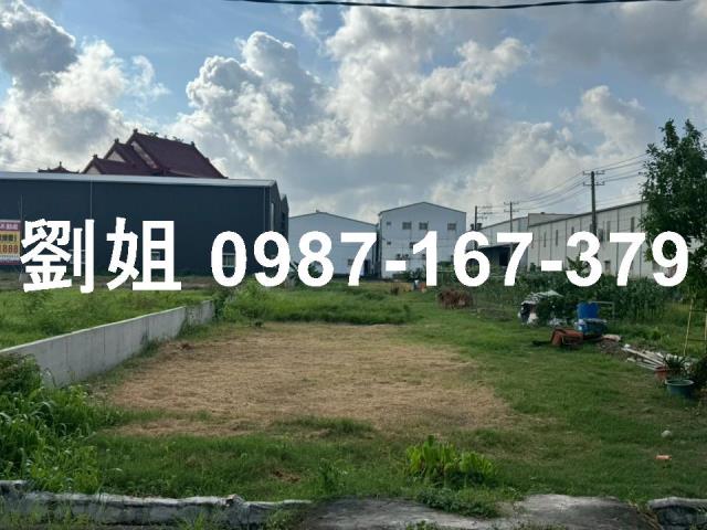仁武農地-1
