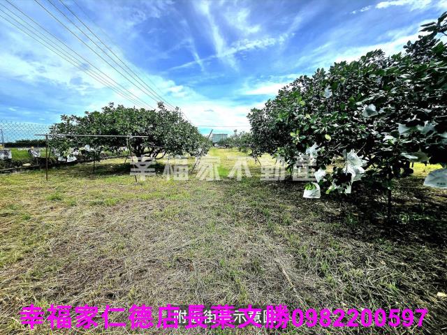 下營農地-9
