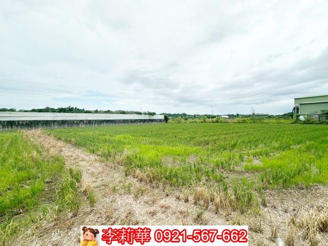 新化農地-9