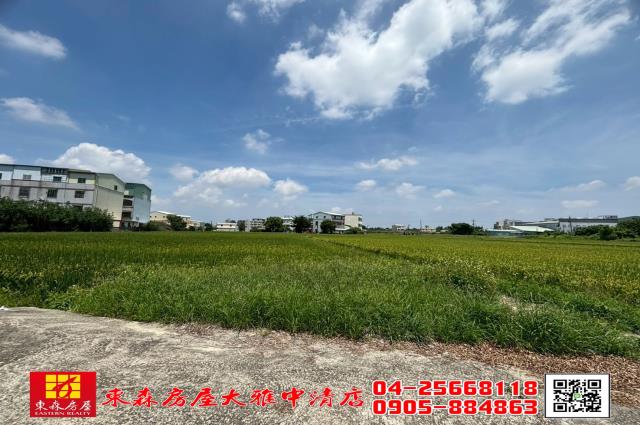大雅農地-1