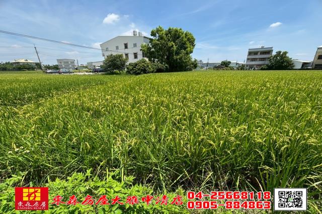 大雅農地-5