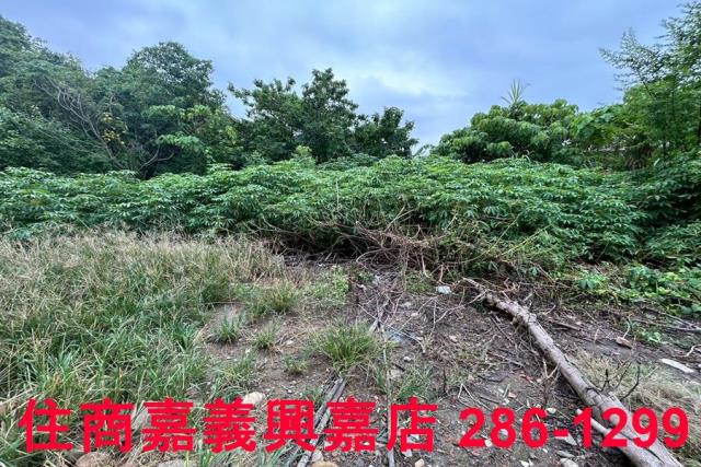 嘉義建地-6