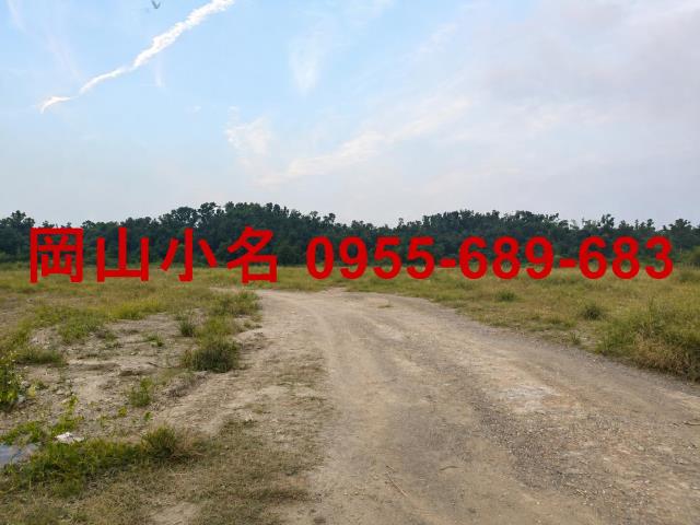 高雄仁武農地-1