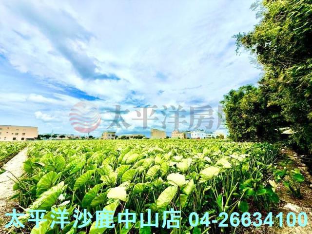 台中大甲農地-5