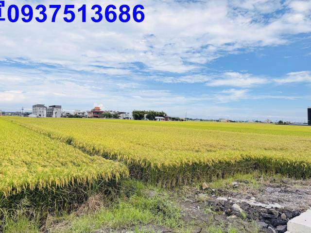 宜蘭農地-9