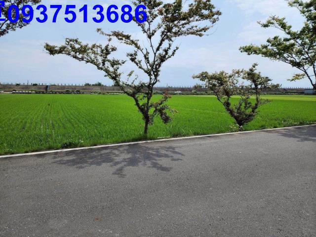 宜蘭農地-12