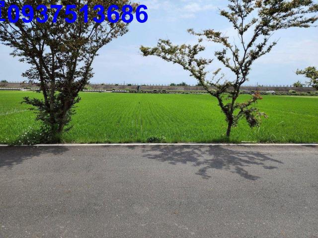 宜蘭農地-6