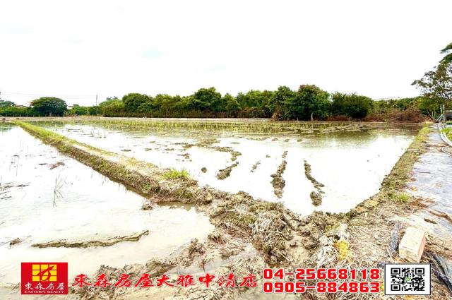 台中神岡農地-2