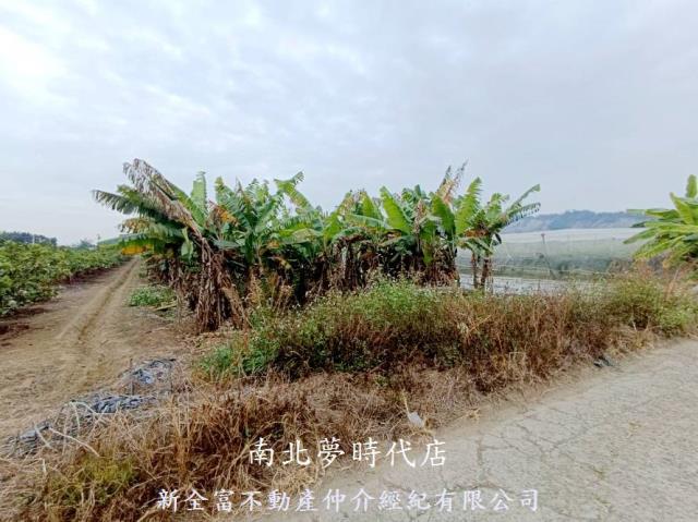 玉井農地-4
