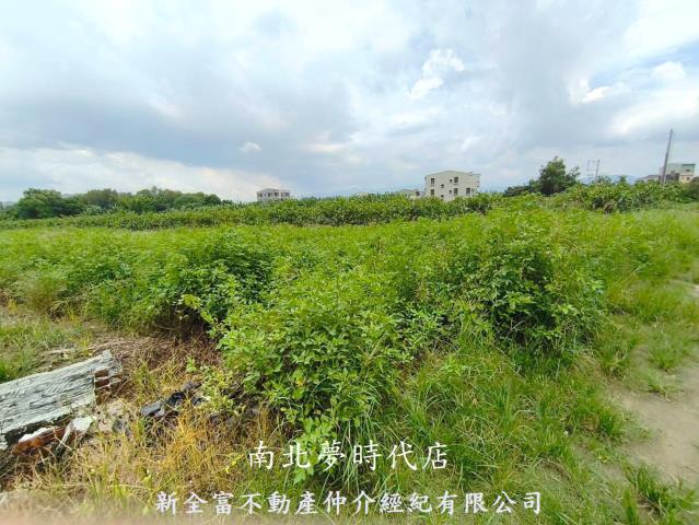 玉井農地-9