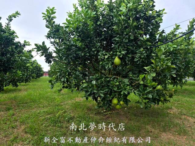下營農地-5
