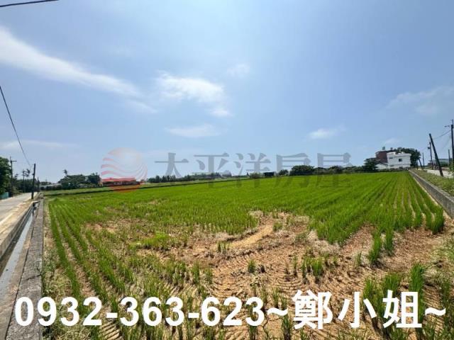 新屋農地-12