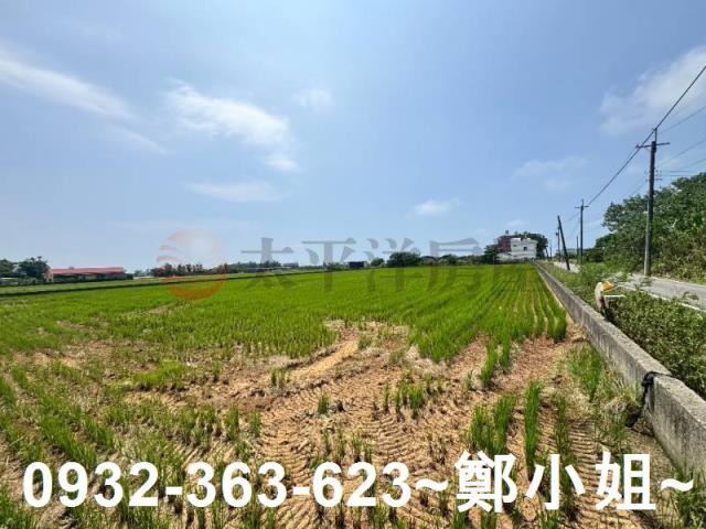 新屋農地-14