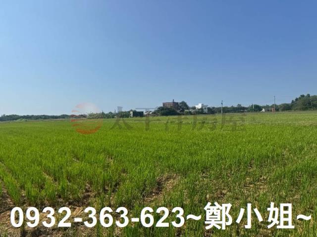 新屋農地-6