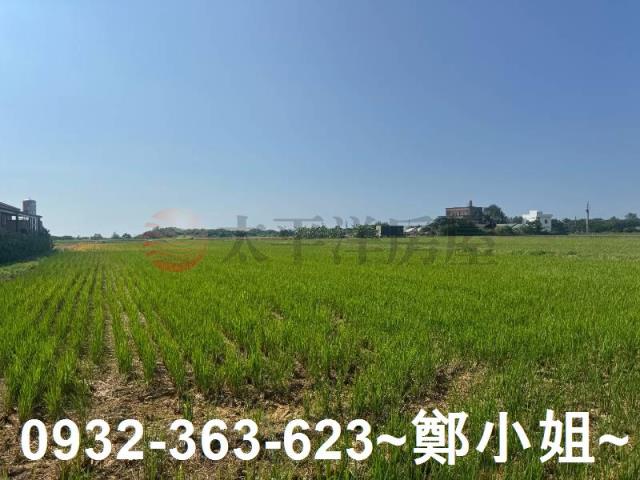 新屋農地-7