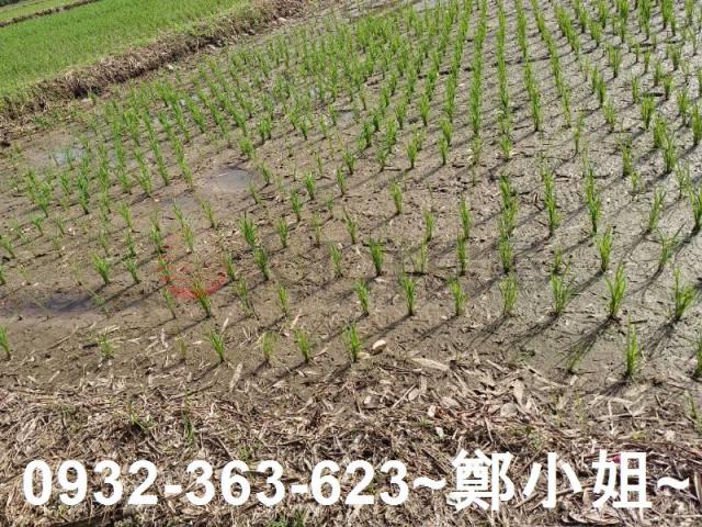 桃園區農地-2