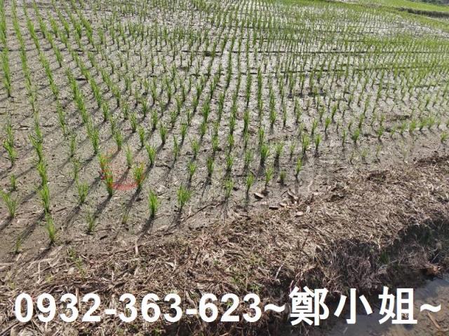 桃園區農地-3
