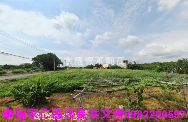 善化農地-11
