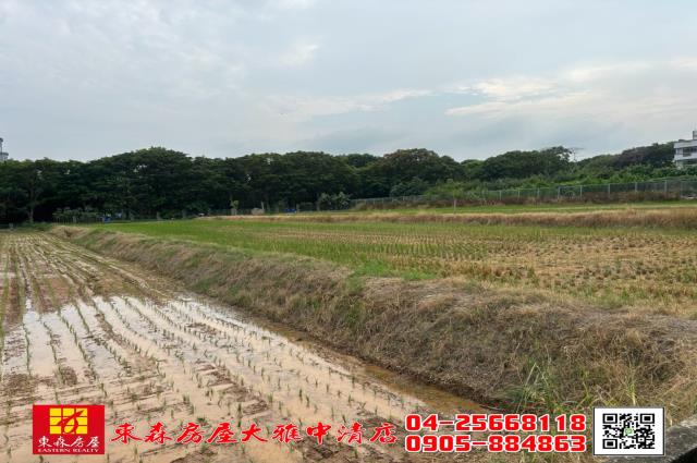 大雅農地-1
