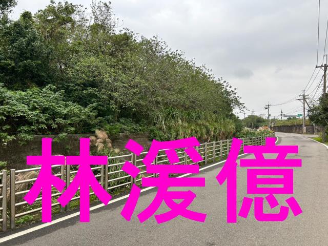 桃園中壢農地-3