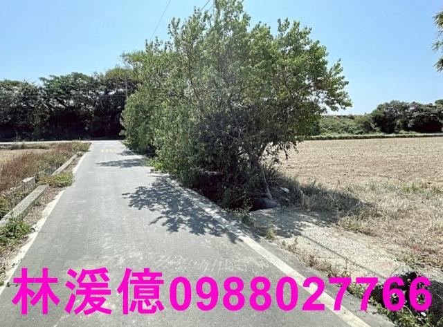 桃園觀音農地-1