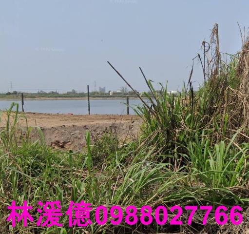 桃園觀音農地-2