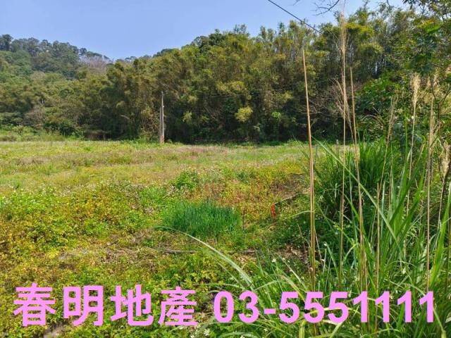 新竹峨眉農地-3