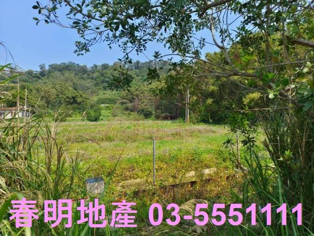 新竹峨眉農地-4