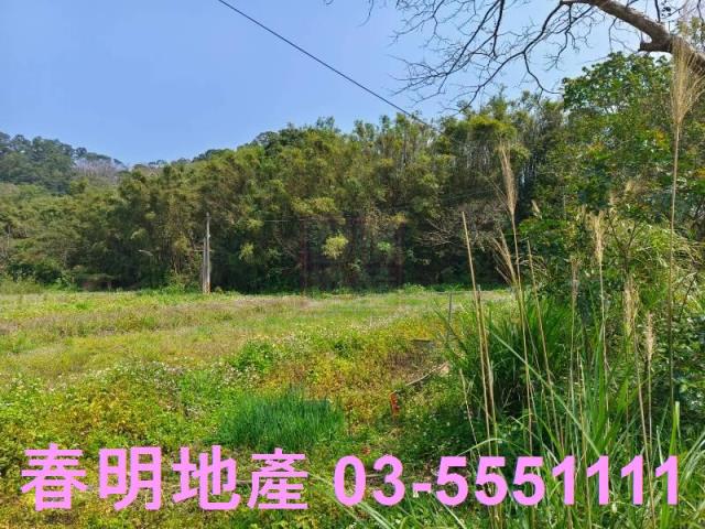 新竹峨眉農地-6
