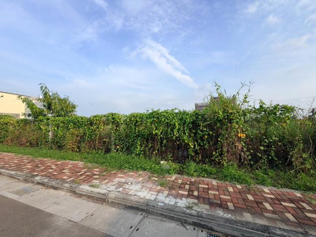 台南麻豆工業地-1