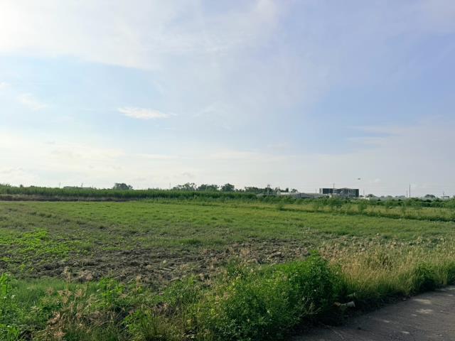 台南佳里農地-6