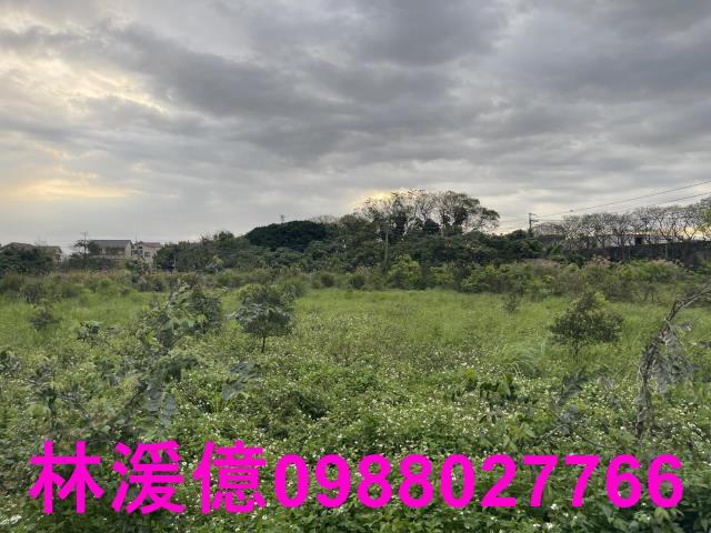 中壢農地-2