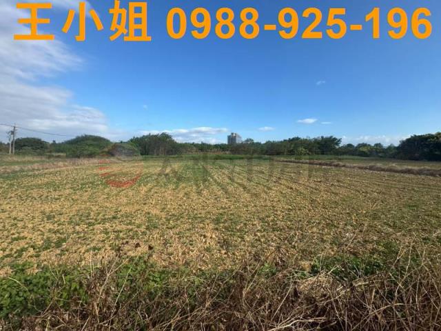 楊梅農地-13