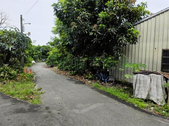 大樹農地-12