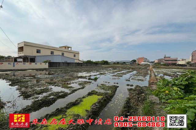 台中農地-1