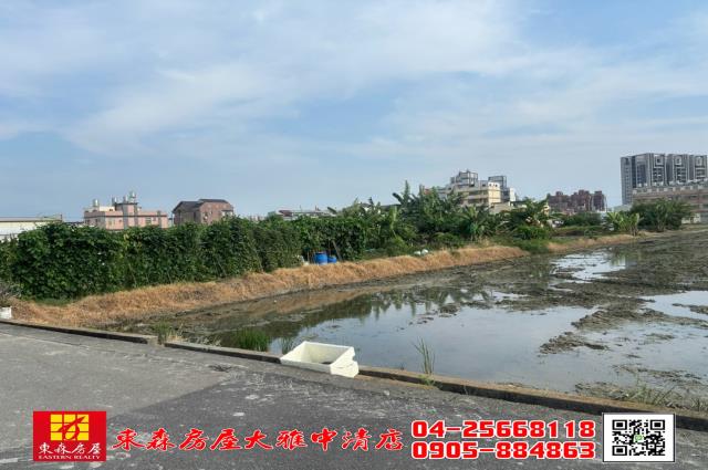 台中農地-4