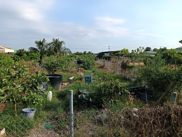 屏東農地-1