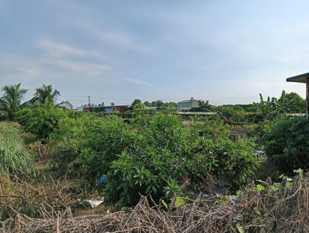 屏東農地-6