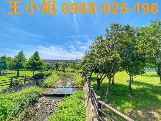 桃園農地-6