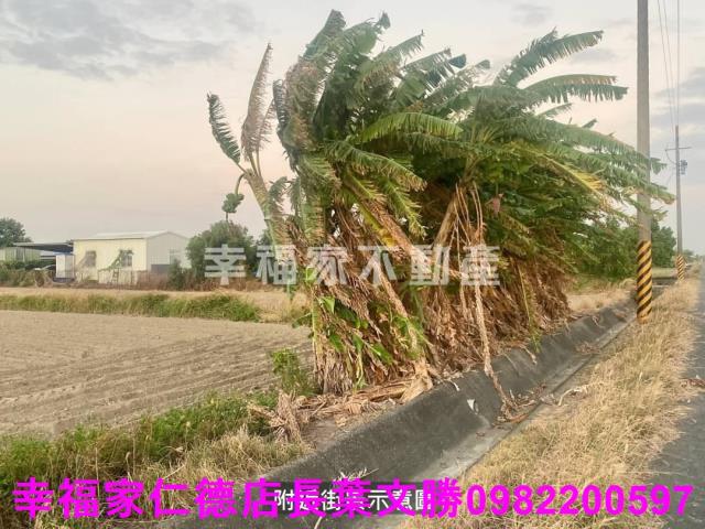 台南七股農地-12