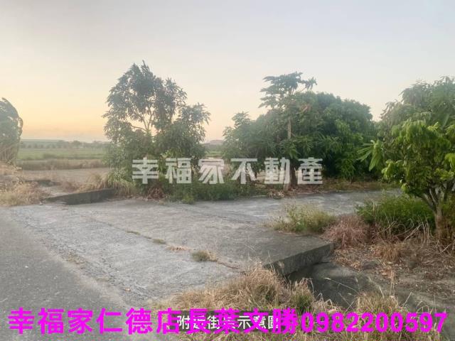 台南七股農地-13