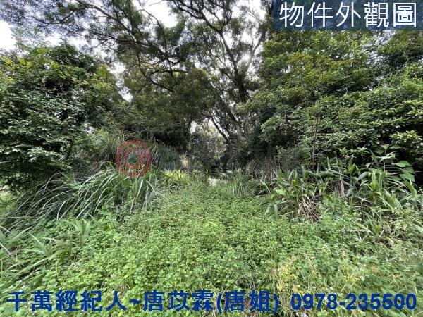 苗栗三灣農地-10