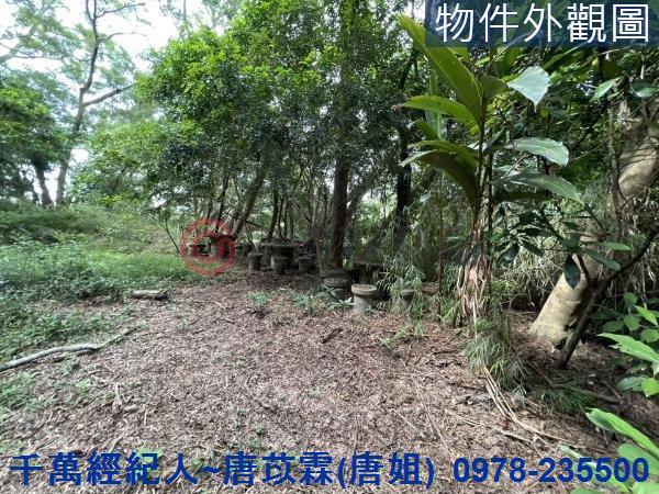 苗栗三灣農地-2
