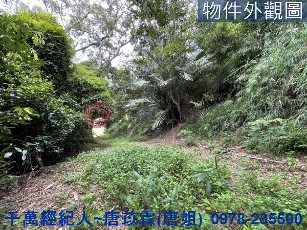 苗栗三灣農地-4