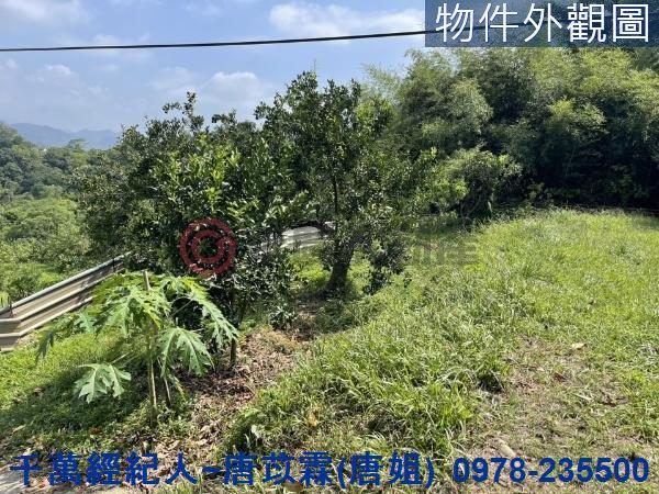 苗栗三灣農地-14