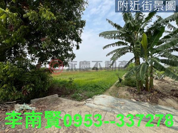 台南後壁農地-2